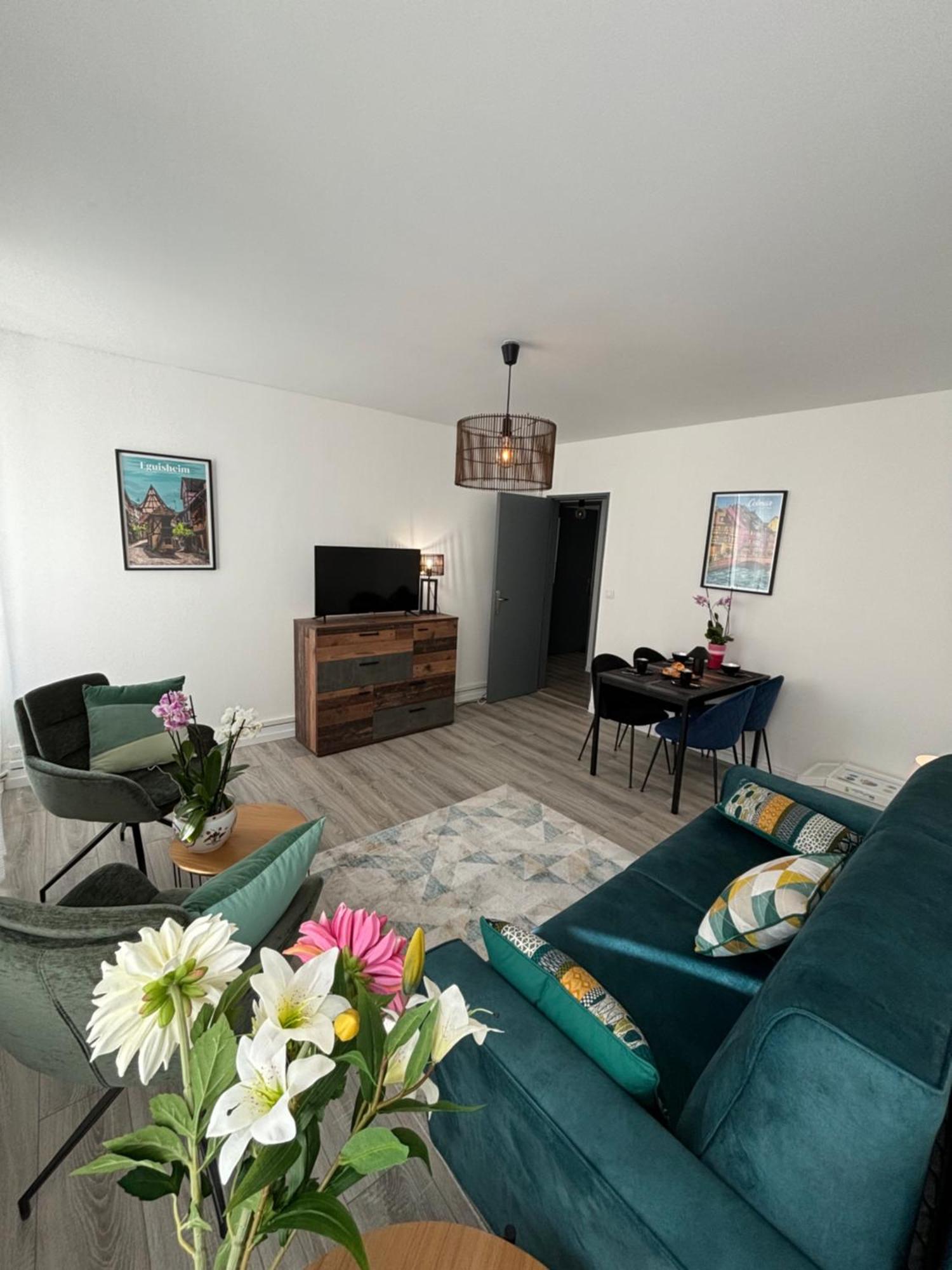 L Alsacienne F2 Centre Ville Mulhouse Ngoại thất bức ảnh