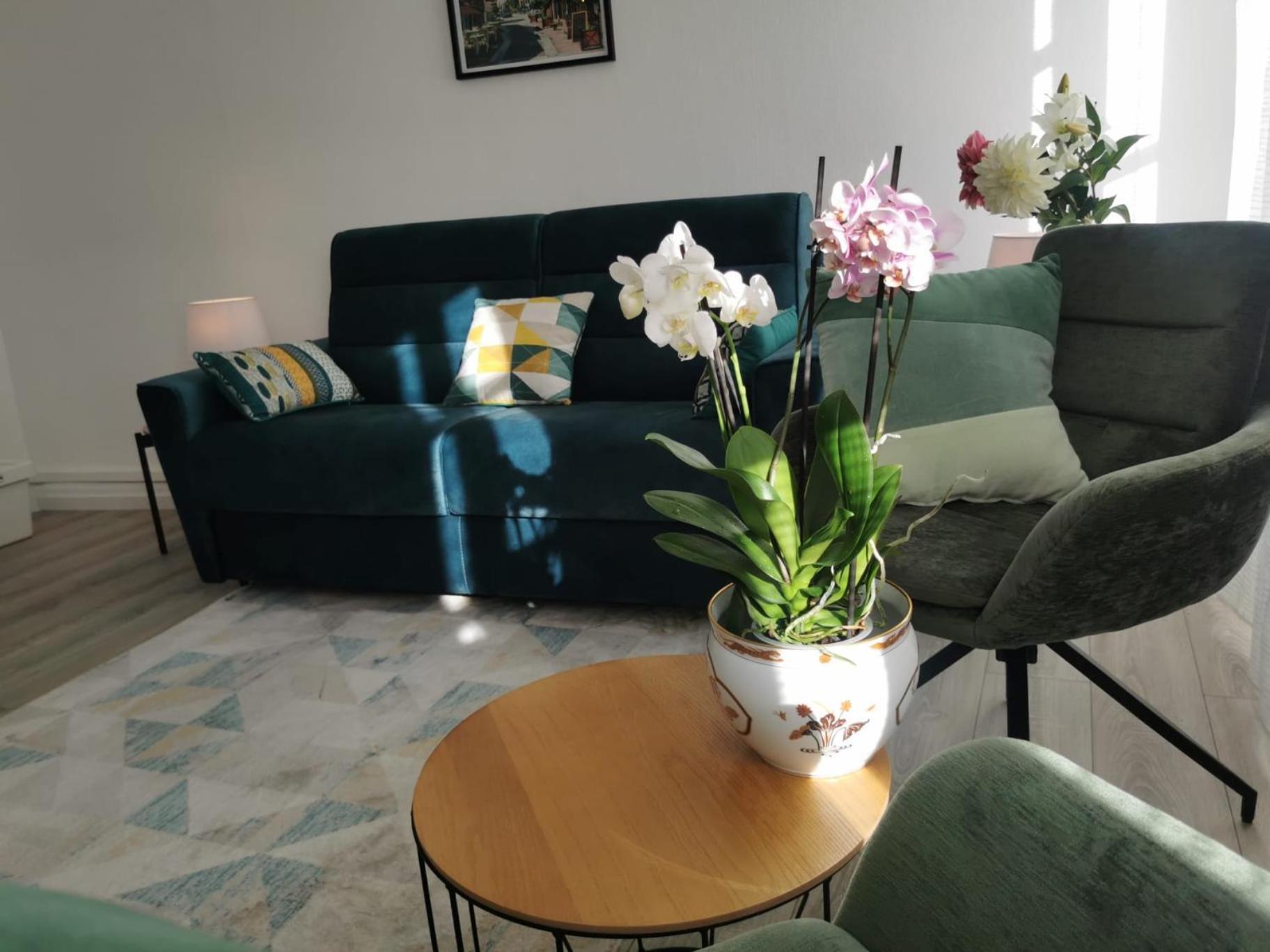 L Alsacienne F2 Centre Ville Mulhouse Ngoại thất bức ảnh