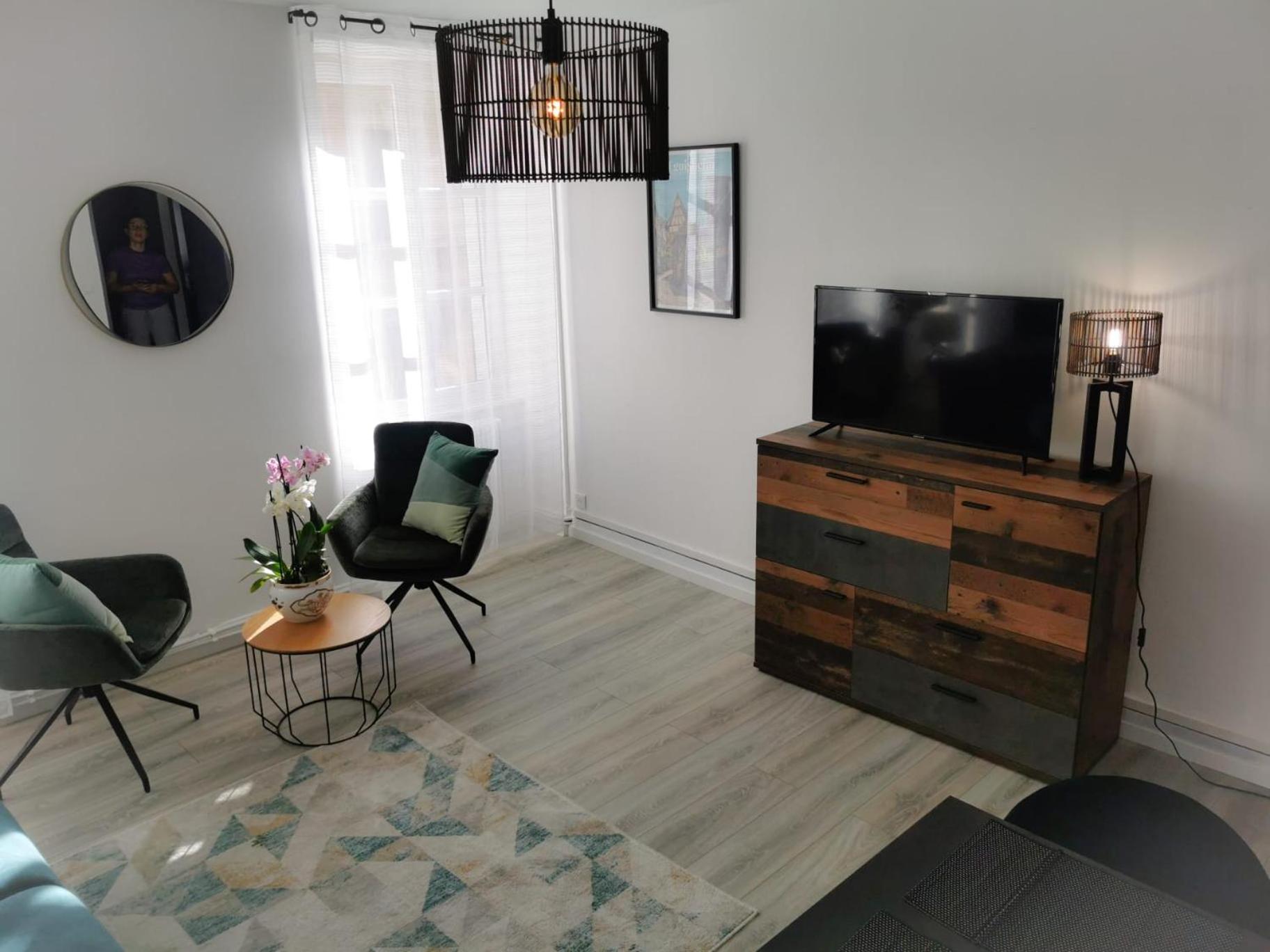L Alsacienne F2 Centre Ville Mulhouse Ngoại thất bức ảnh