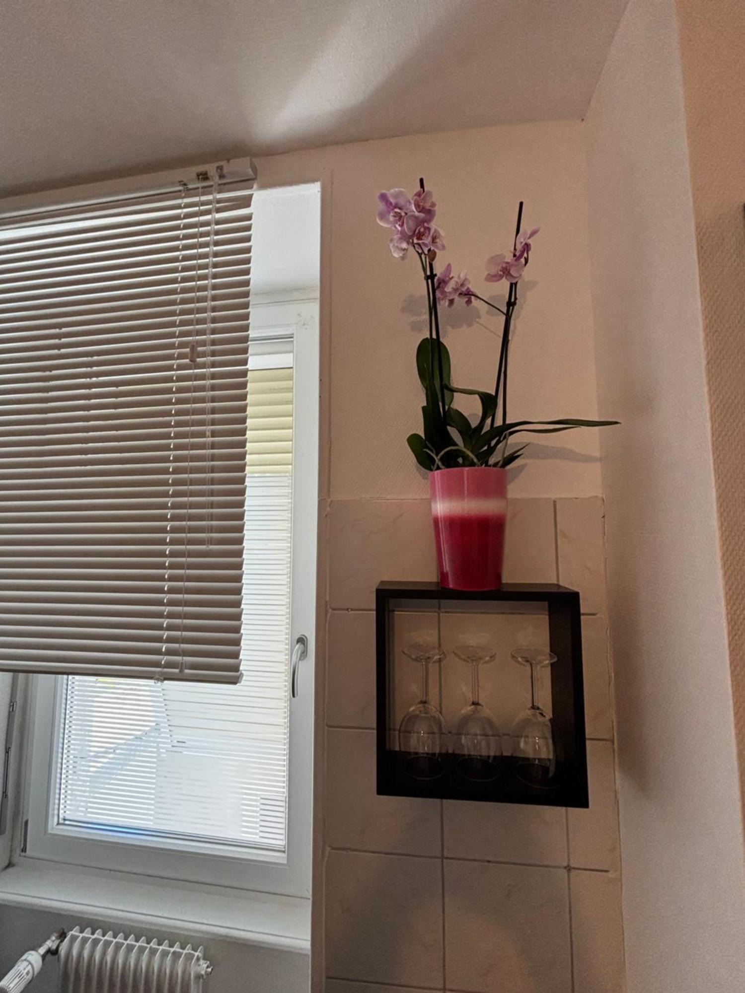 L Alsacienne F2 Centre Ville Mulhouse Ngoại thất bức ảnh