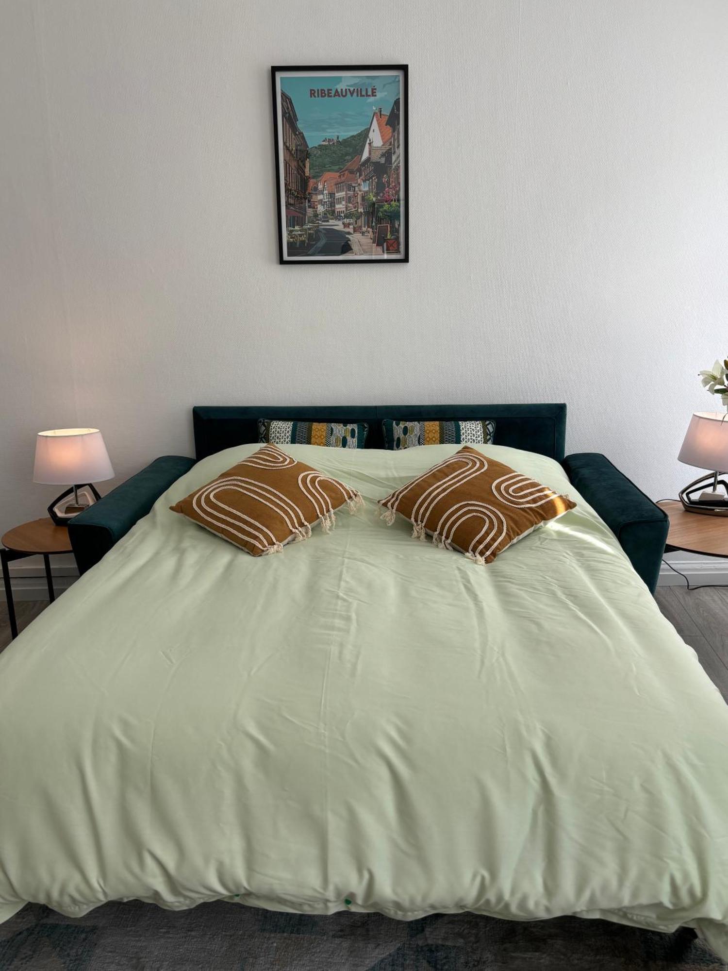 L Alsacienne F2 Centre Ville Mulhouse Ngoại thất bức ảnh