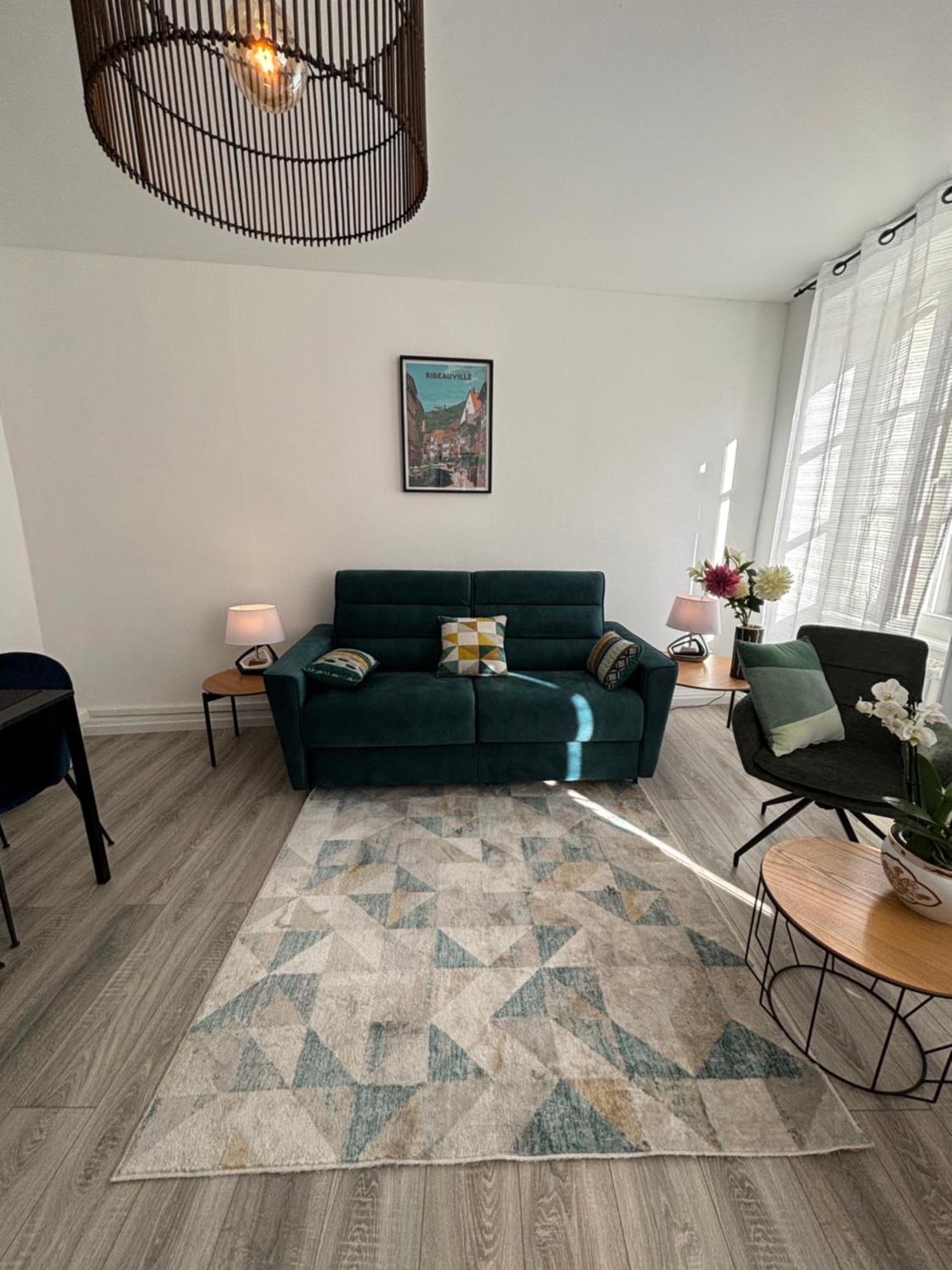 L Alsacienne F2 Centre Ville Mulhouse Ngoại thất bức ảnh