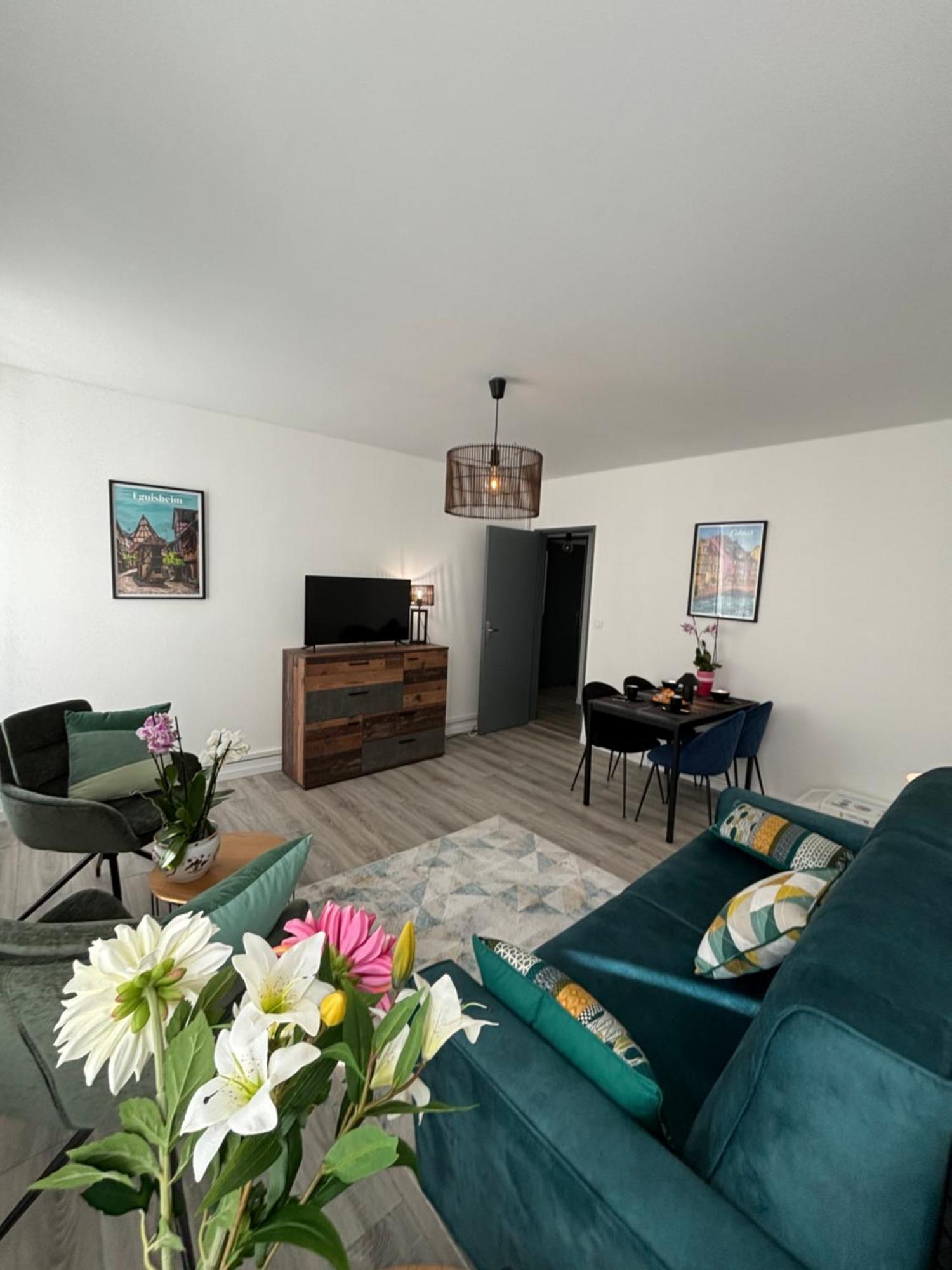 L Alsacienne F2 Centre Ville Mulhouse Ngoại thất bức ảnh